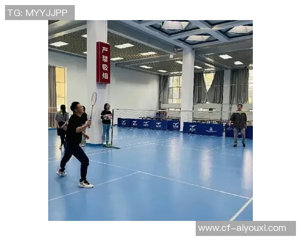 北京羽毛球队个人能力分析与发展潜力探讨MBA